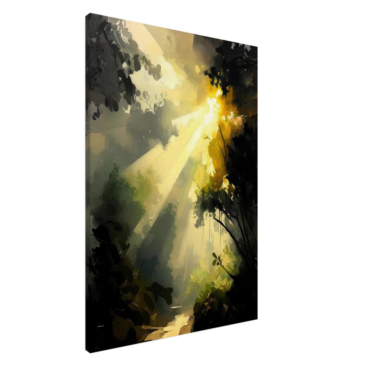 Daintree Sunlight I - Canvas